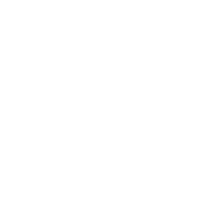 NicoNicoIcon